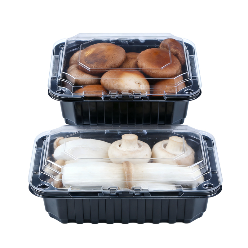 Mushroom Blister Packaging Tray