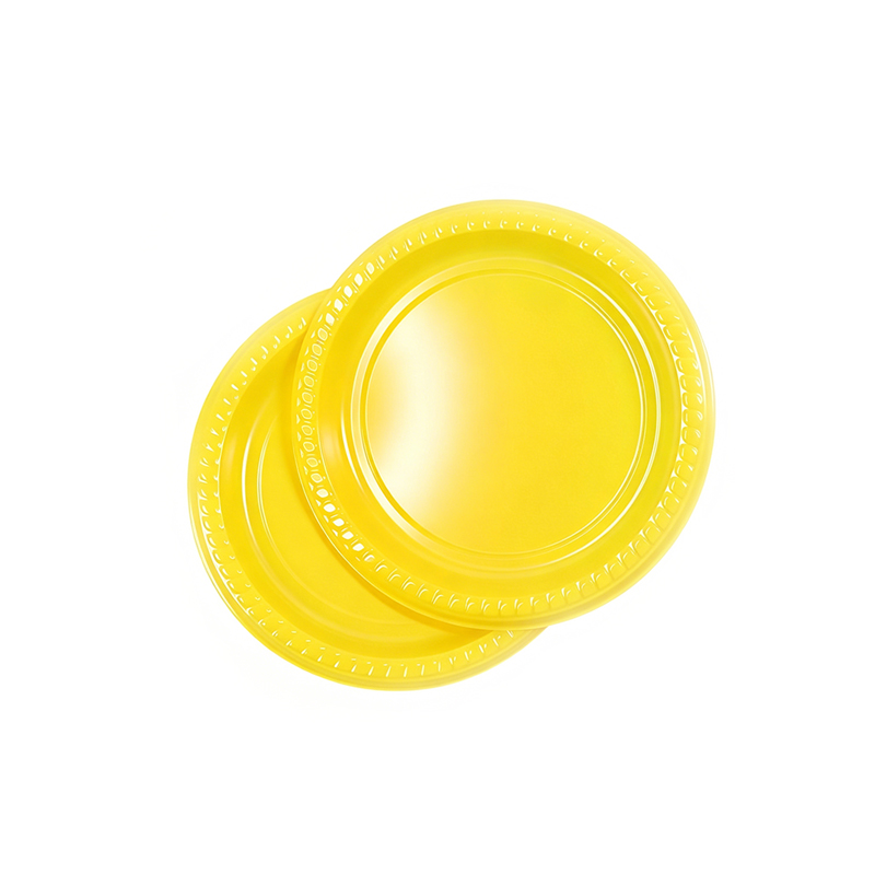 High Quality Disposable Plastic Blister Plate