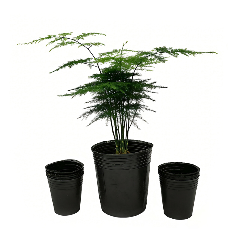 Custom Plastic Plant Pot with Blister Tray