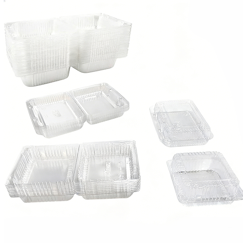 Disposable Food plastic Packaging Box
