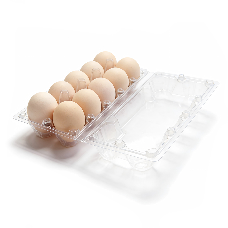 Wholesale Disposable Plastic Transparent Egg Tray