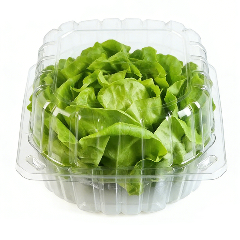 Wholesale Vegetable Packaging Tray