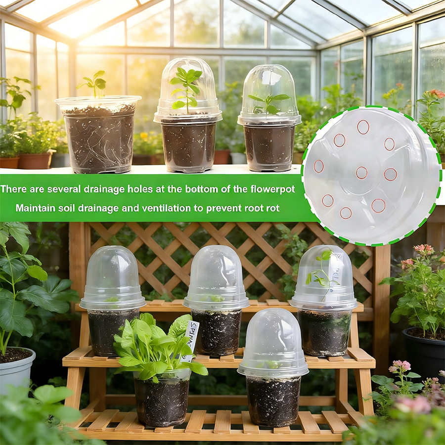  Plant Nursery Pots with Dome