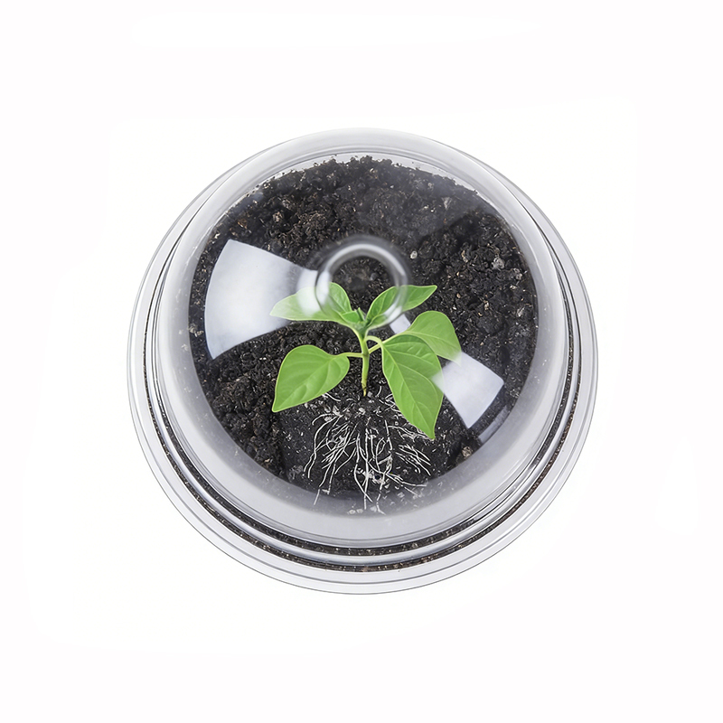 Nursery Pots with Humidity Domes