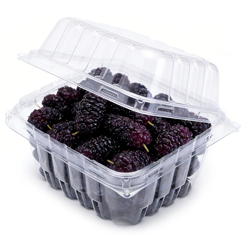 Wholesale Mulberry Plastic Packaging Clamshell