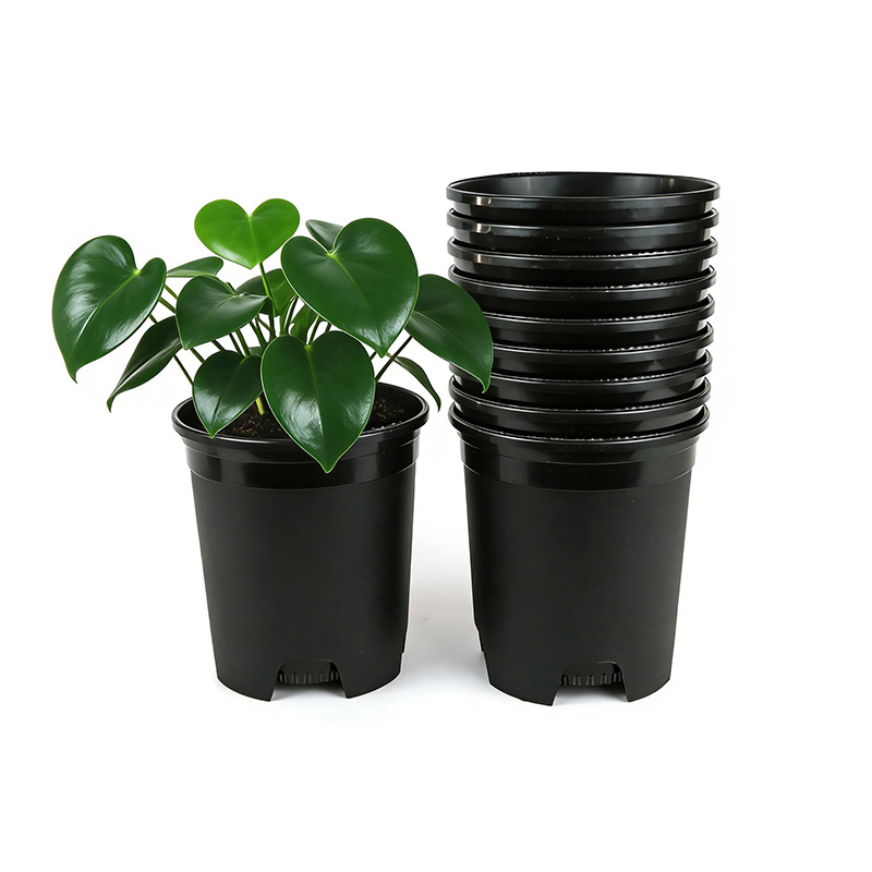 Greenhouse Pots Wholesale Supplier