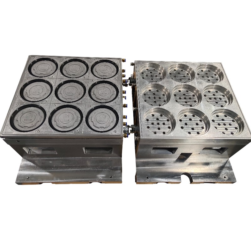 Top Lid Thermoforming Mold