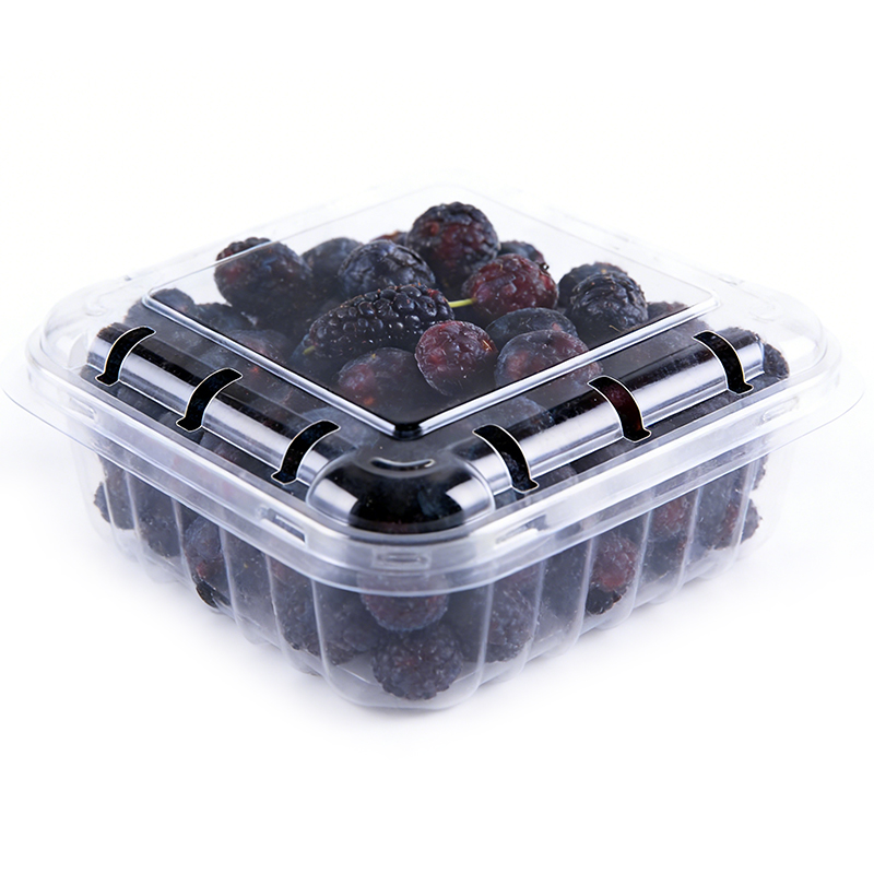 Wholesale Mulberry Plastic Packaging Clamshell