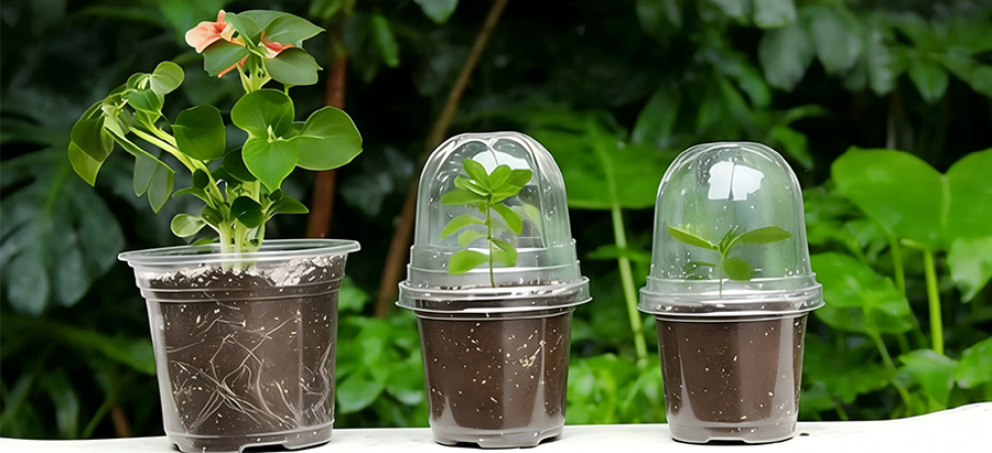 Nursery Pots with Humidity Domes