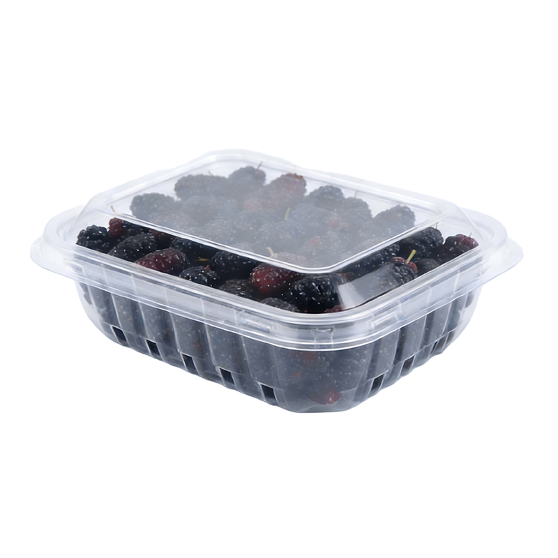 Wholesale Mulberry Plastic Packaging Clamshell