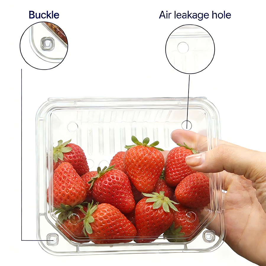 Frozen Fruit Blister Tray Supplier
