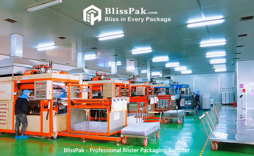 BlissPak - Professional Blister Packaging Supplier