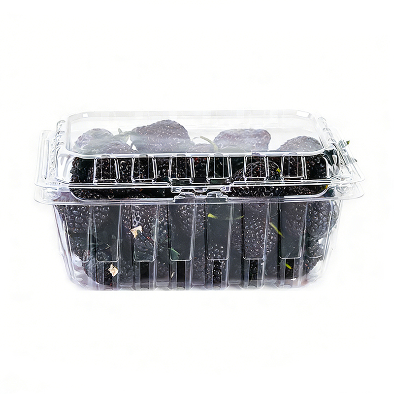 Wholesale Mulberry Plastic Packaging Clamshell