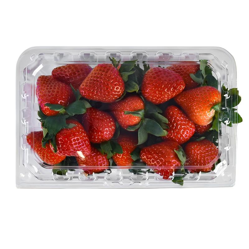 Wholesale Disposable Strawberry Clamshell