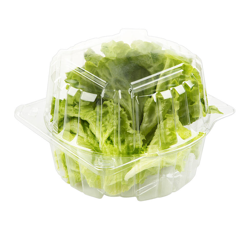 Wholesale Vegetable Packaging Tray