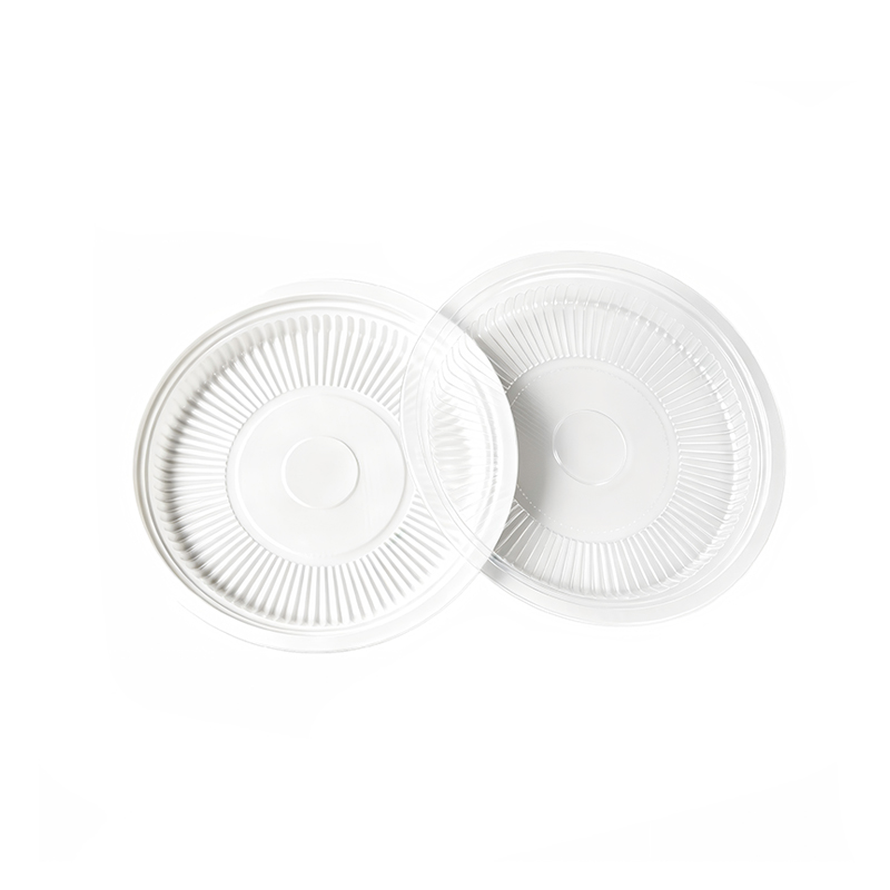 Clear Plastic Picnic Plate
