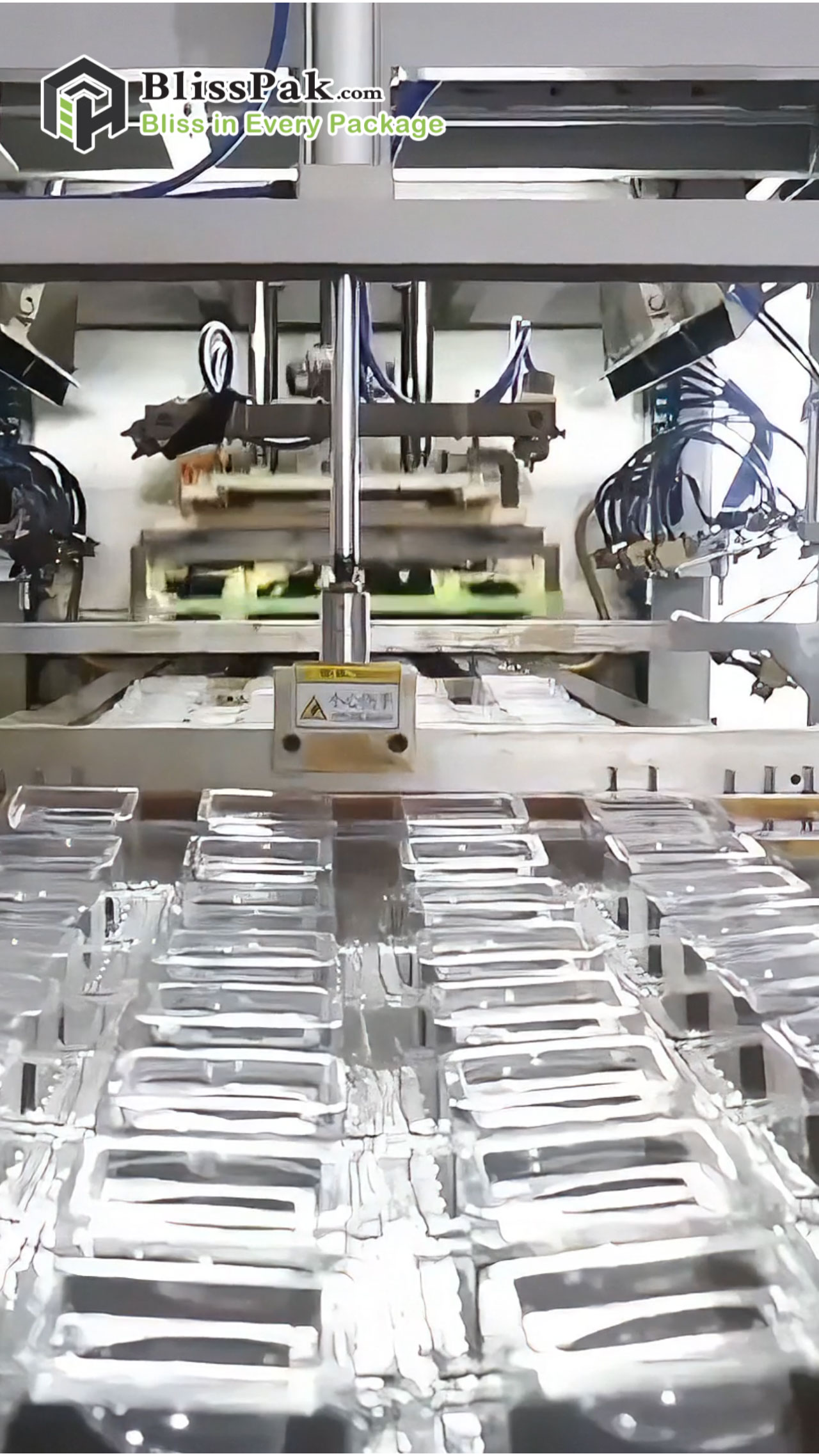 Looking for high-quality blister packaging solutions?