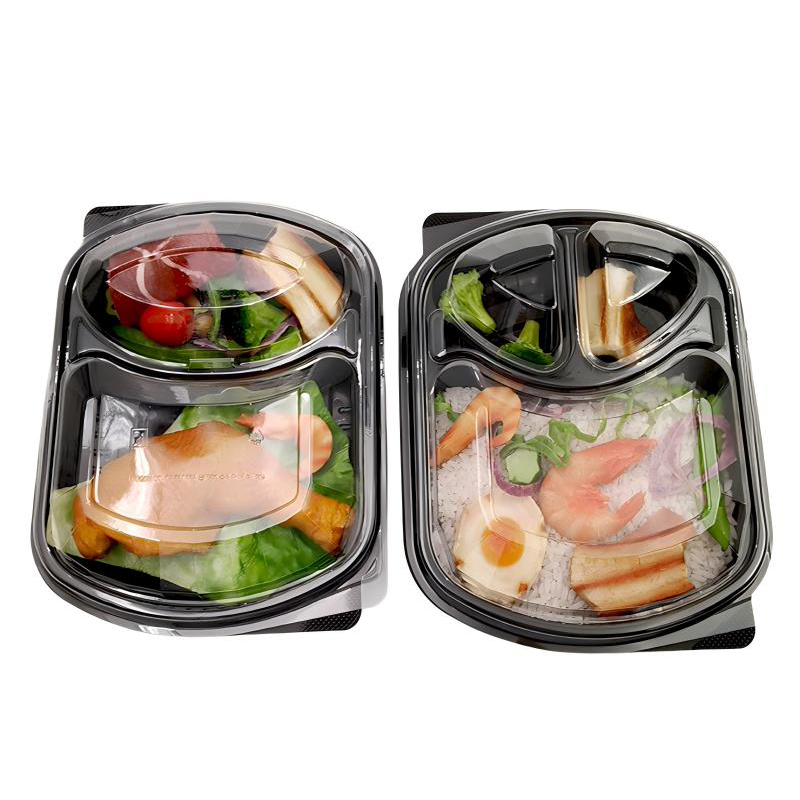Takeout Lunch Box Blister Packaging