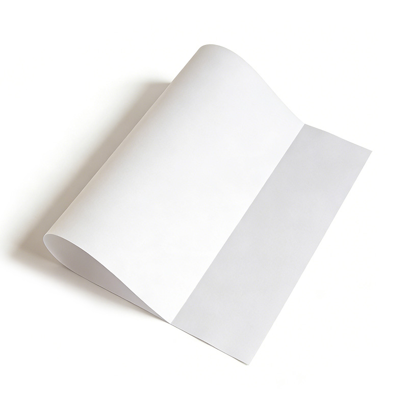 CPET Roll for Vacuum Forming