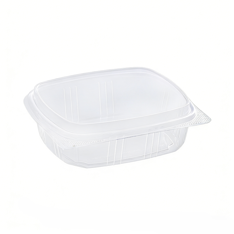 Disposable Food plastic Packaging Box