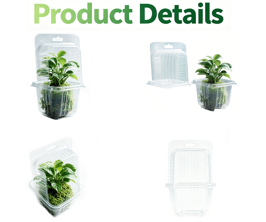 Plant Blister Packaging with Hanging Hole