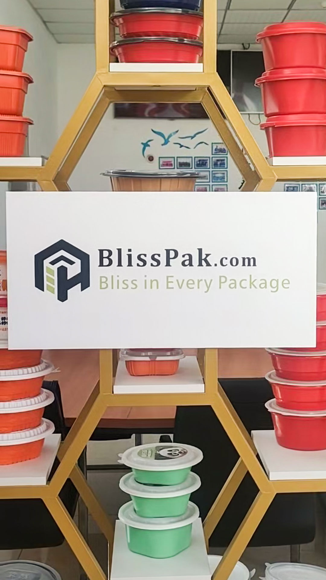32 Years of Packaging Excellence: Inside the BlissPak Showroom & Factory