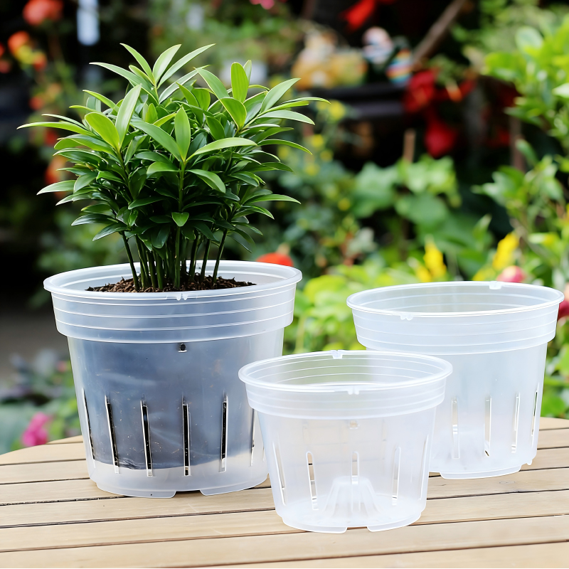 Wholesale Transparent Flower Pot
