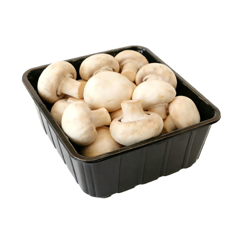 Mushroom Blister Packaging Tray