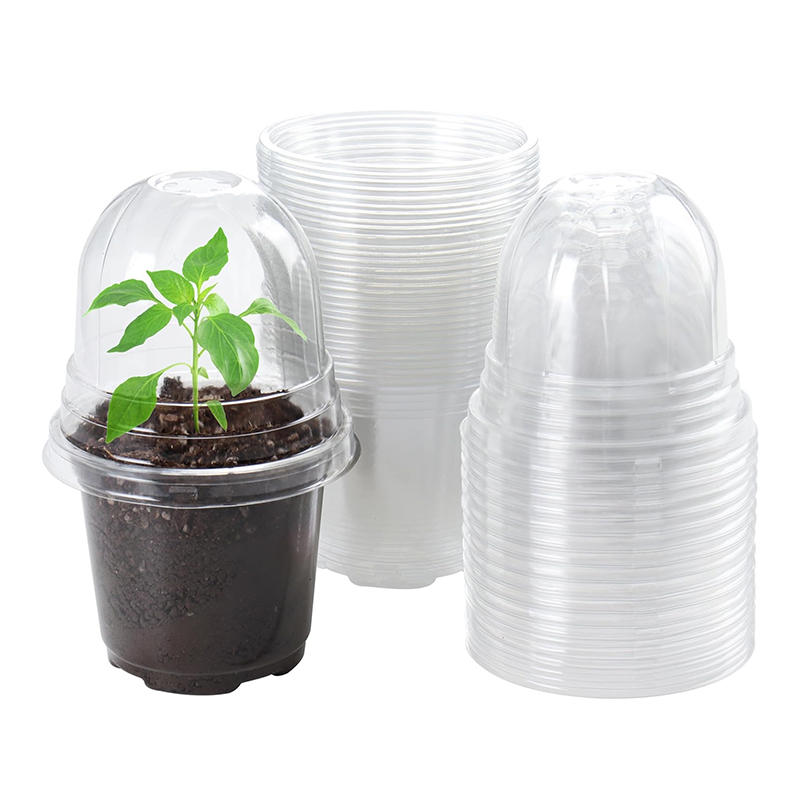 Wholesale Transparent Plastic Seedling Planter