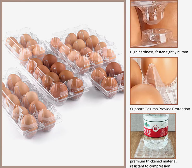 Egg container vacuum formed product