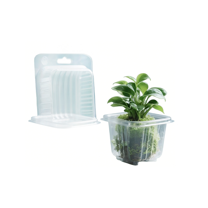 Plant Blister Packaging with Hanging Hole