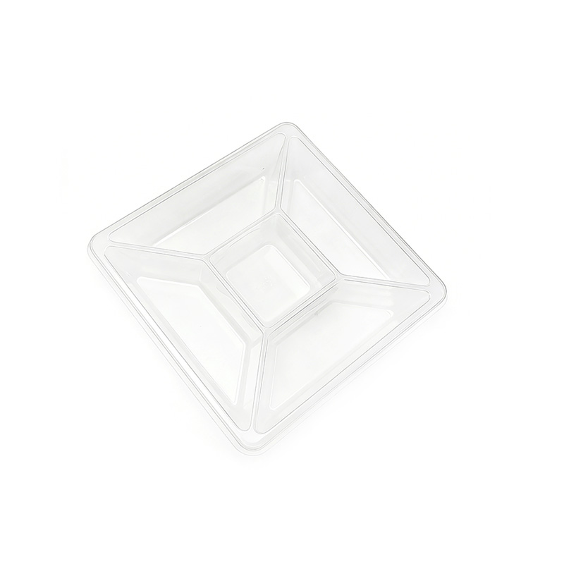 Custom Disposable Divided Blister Snack Tray