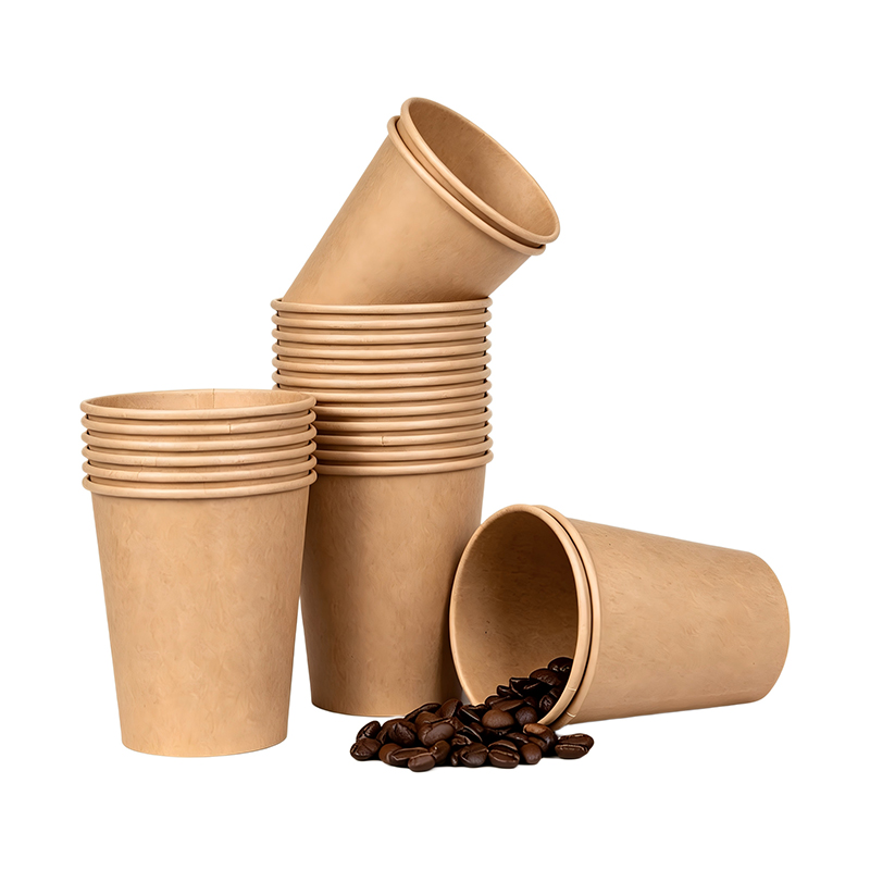 Factory Direct Sugarcane Fiber Cups