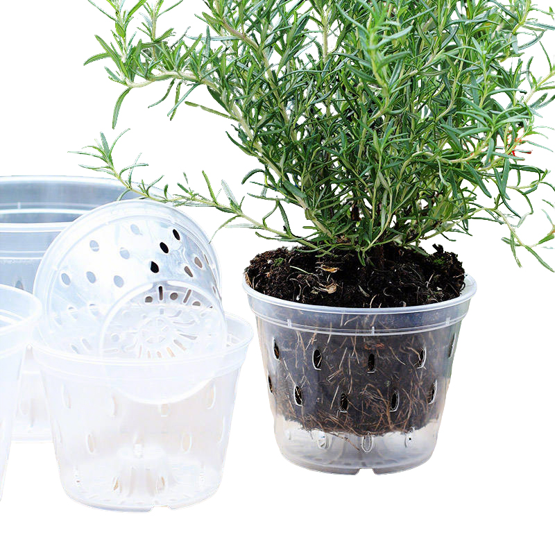 Wholesale Transparent Flower Pot