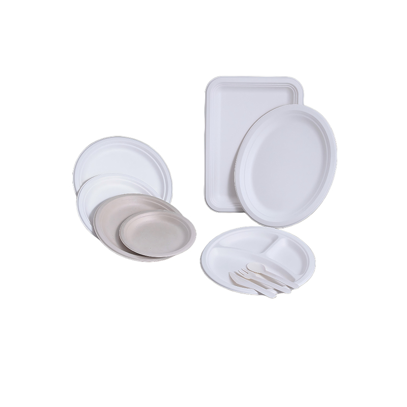 Factory Custom Bagasse Dinner Plates
