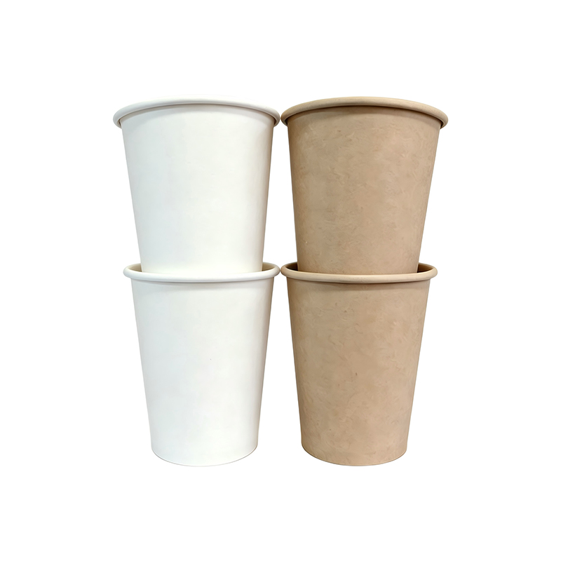 Factory Direct Sugarcane Fiber Cups