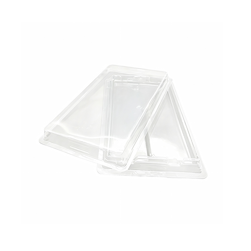 Wholesale SSD Blister Packaging Tray