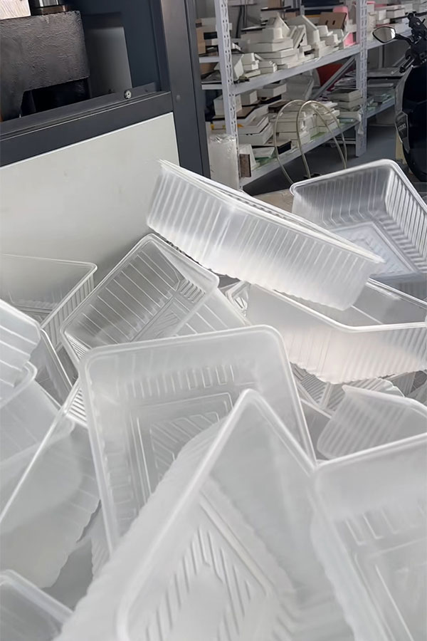 Finished Blister Packaging Display