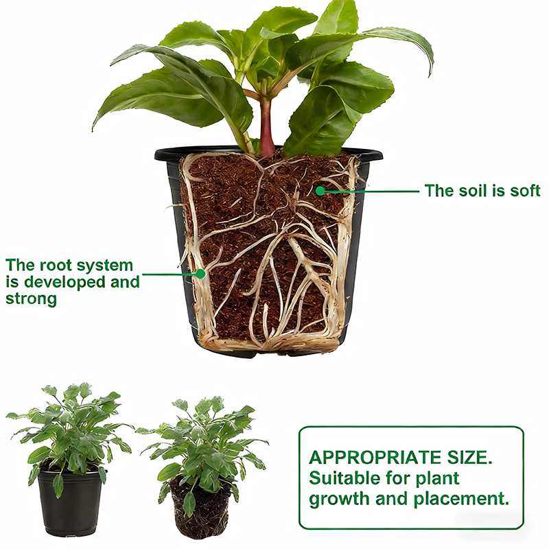 Wholesale Mini Plastic Flower Pots