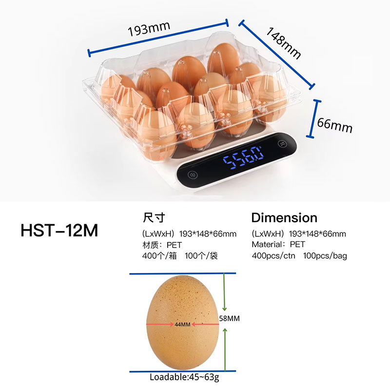 Wholesale Disposable Plastic Transparent Egg Tray
