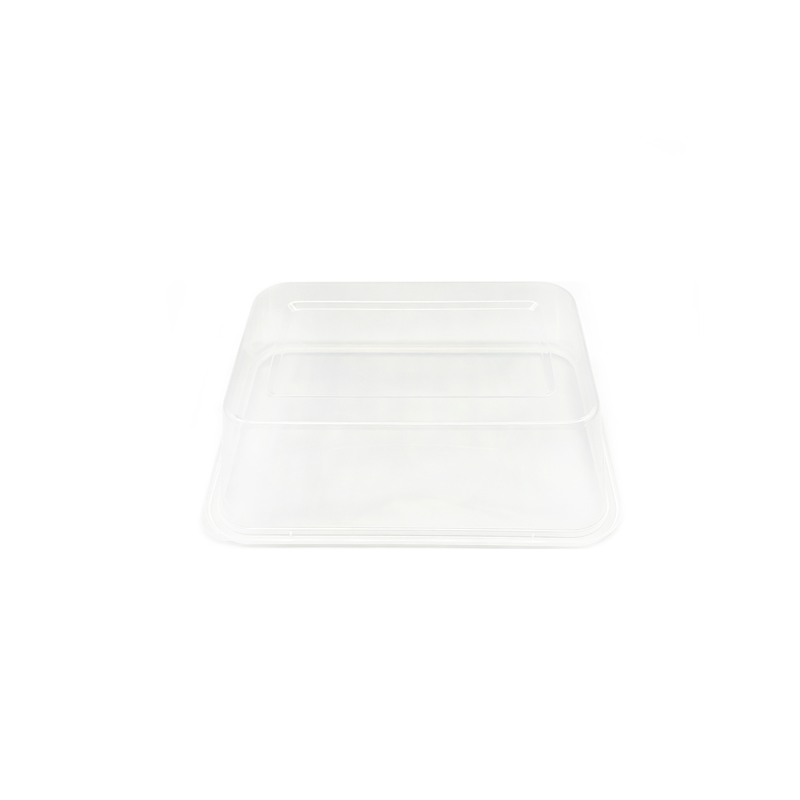 Microwave PP Food Container Supplier