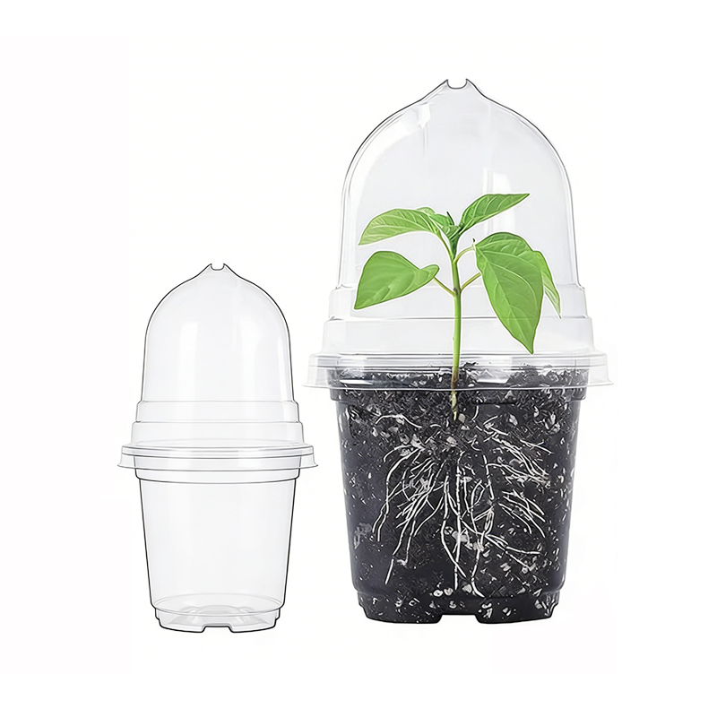 Nursery Pots with Humidity Domes