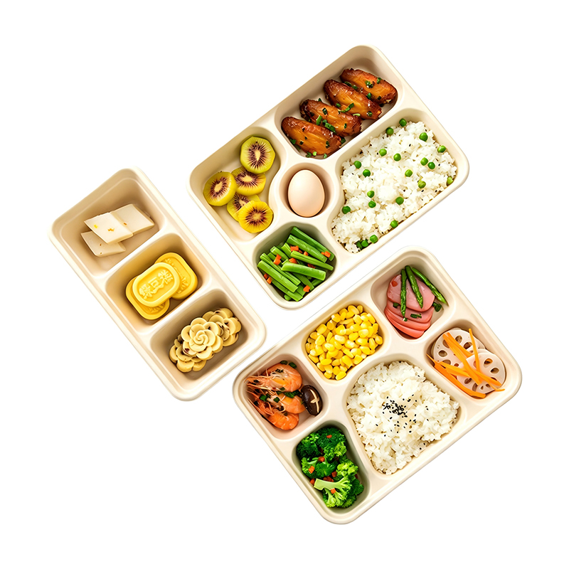 Wholesale Bamboo Pulp Lunch Box