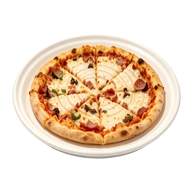 Wholesale Sugarcane Fiber Pizza Plates